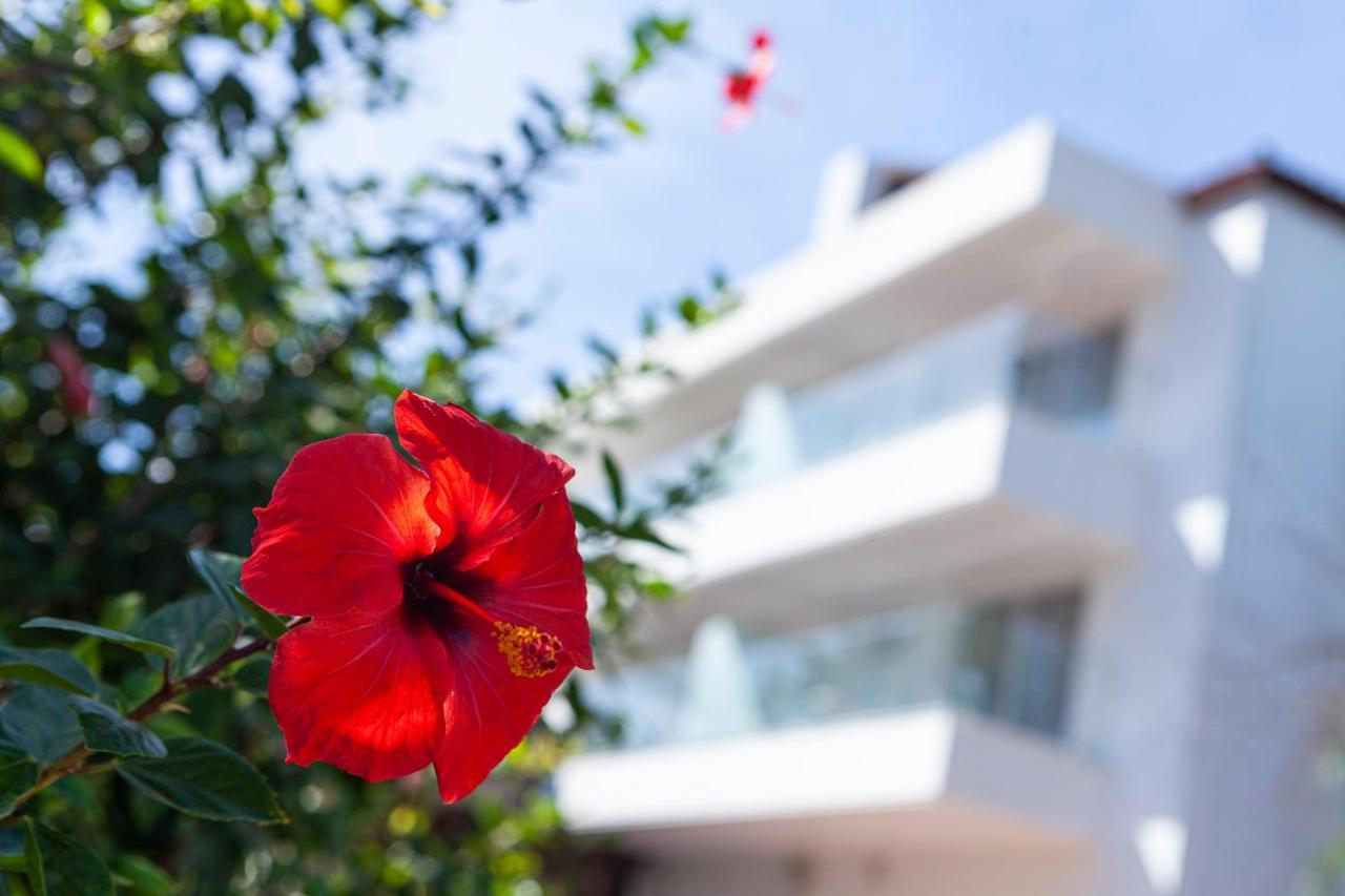 Hotel Jerez & Spa Jerez de la Frontera Kültér fotó